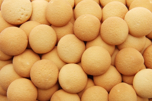 biscuit