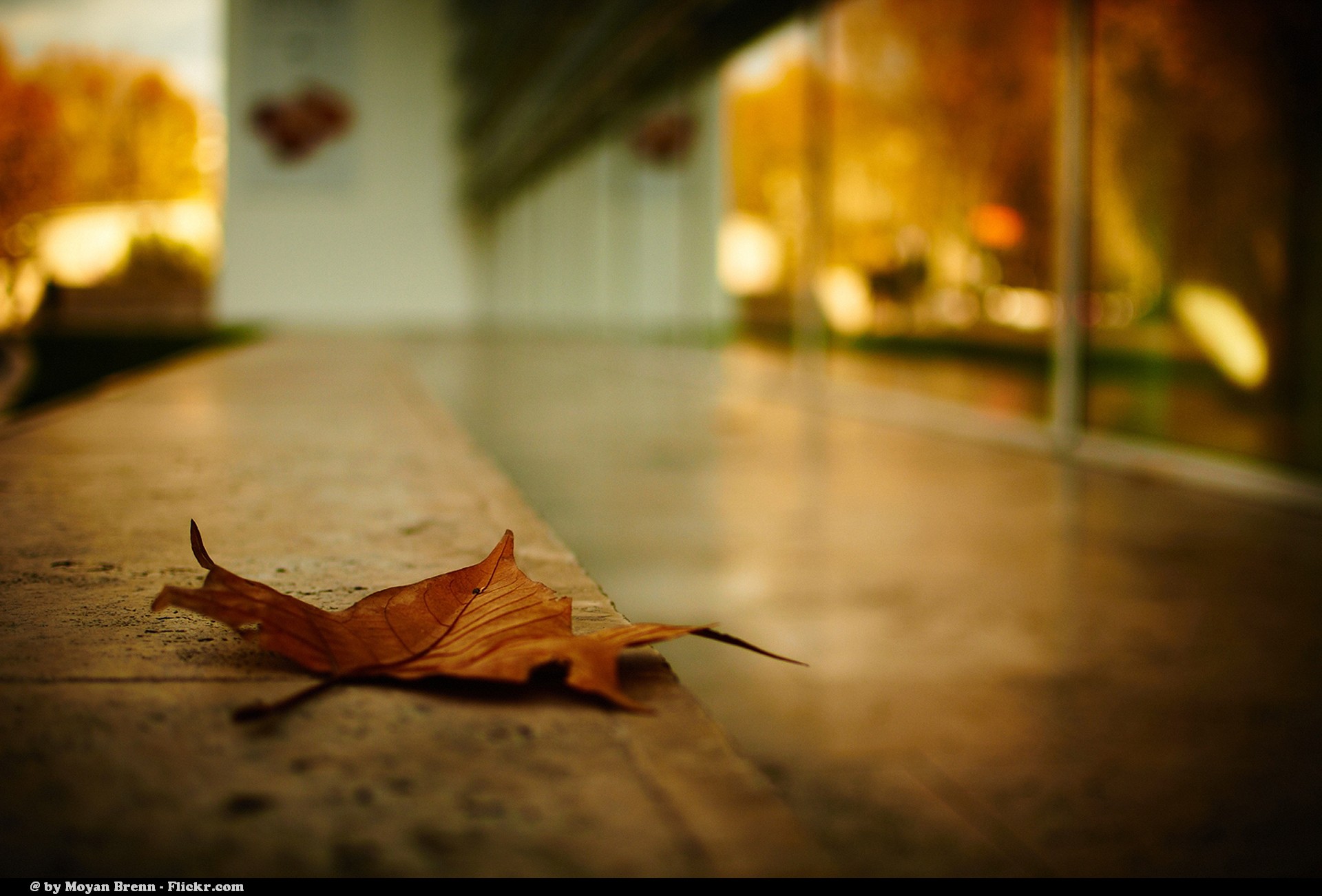 Photo by Moyan Brenn