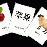 flashcards-150x150.gif