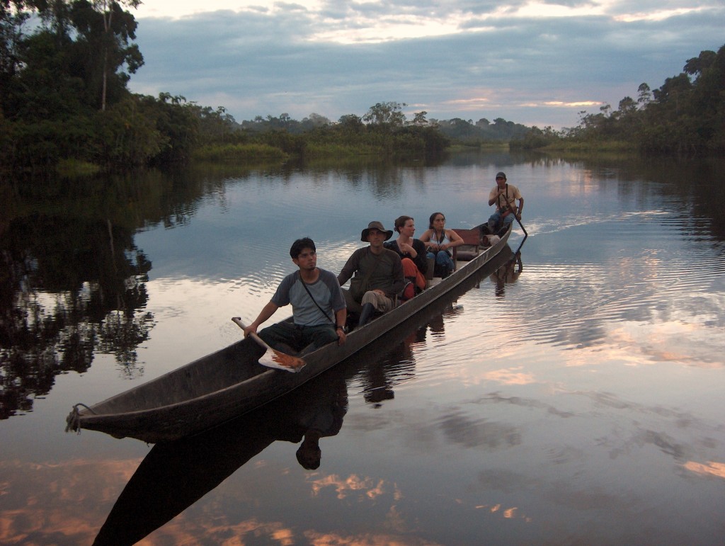 rainforest tour