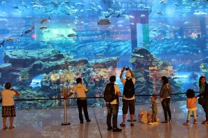 Dubai_Aquarium
