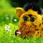 furby_image-150x150.jpg