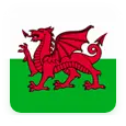 Welsh in Swansea