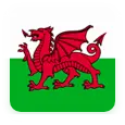 Welsh in Birmingham